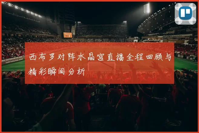 西布罗对阵水晶宫直播全程回顾与精彩瞬间分析