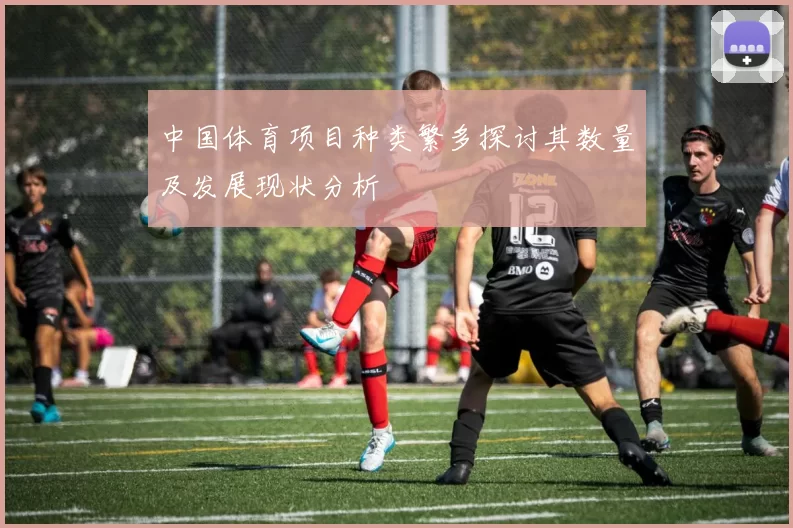 中国体育项目种类繁多探讨其数量及发展现状分析