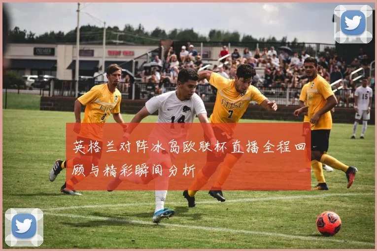 英格兰对阵冰岛欧联杯直播全程回顾与精彩瞬间分析