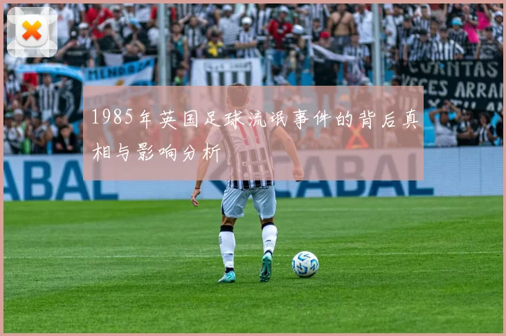1985年英国足球流氓事件的背后真相与影响分析