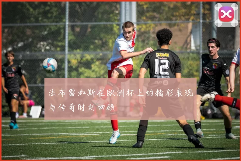 法布雷加斯在欧洲杯上的精彩表现与传奇时刻回顾