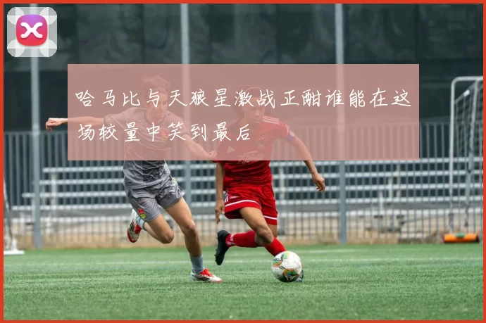 哈马比与天狼星激战正酣谁能在这场较量中笑到最后