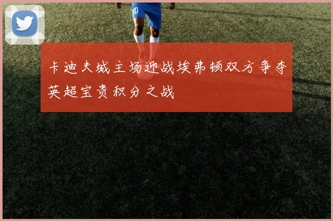 卡迪夫城主场迎战埃弗顿双方争夺英超宝贵积分之战