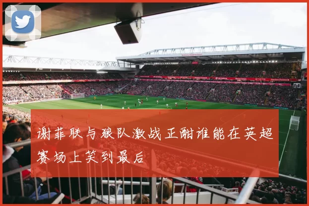 谢菲联与狼队激战正酣谁能在英超赛场上笑到最后