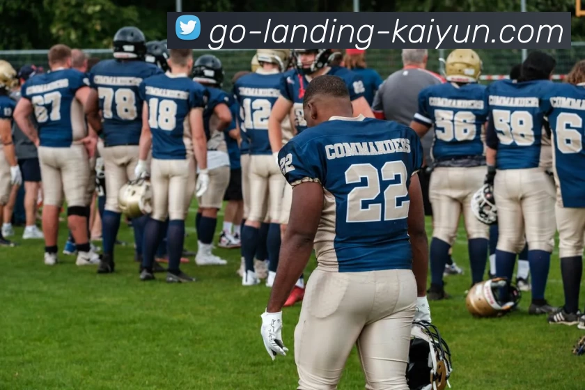 开云平台生态图